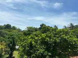 Blk 101 Bukit Purmei Road (Bukit Merah), HDB 4 Rooms #501675581